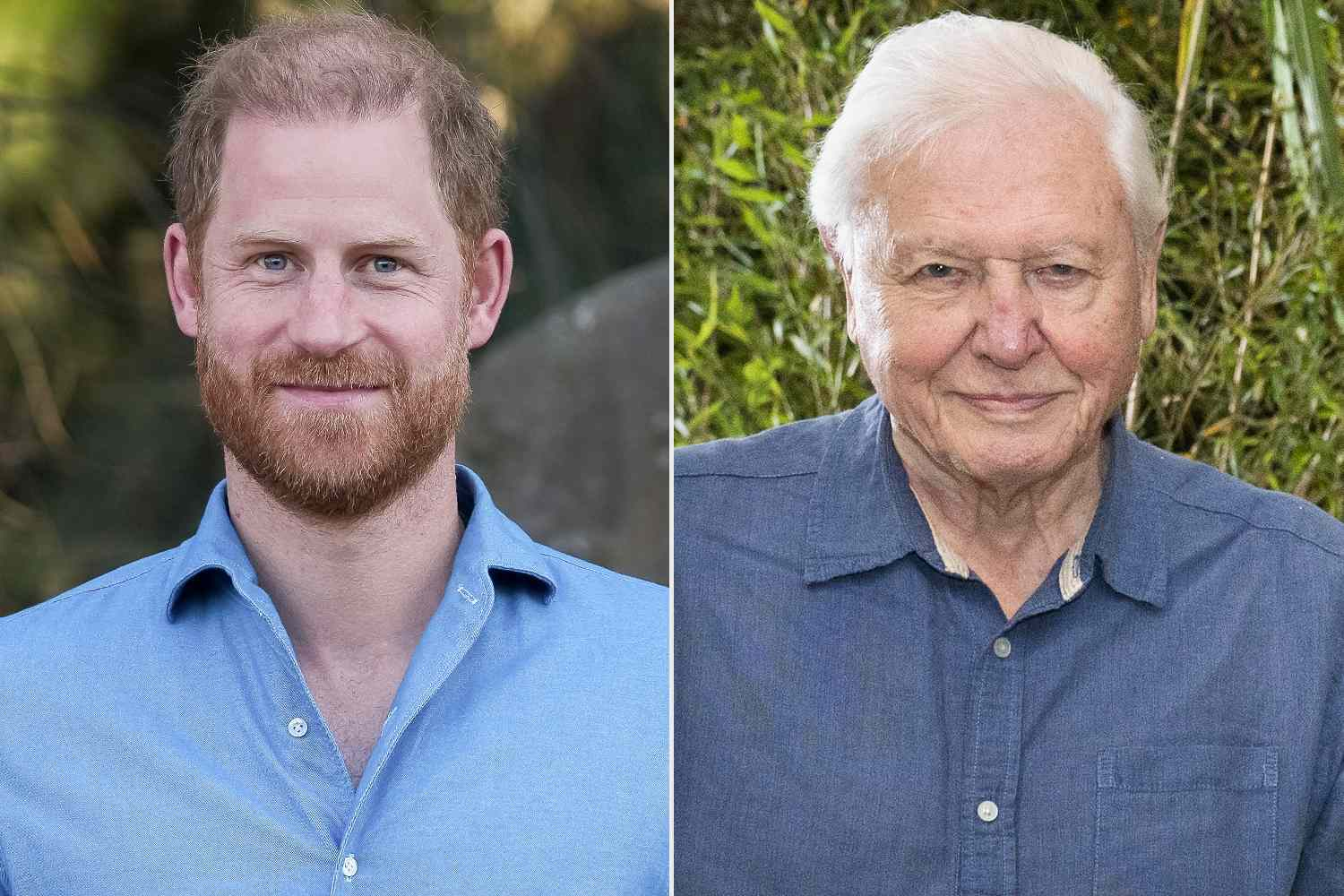 Prince Harry Praises David Attenborough Ahead of His 100th Birthday — A Moving Tribute