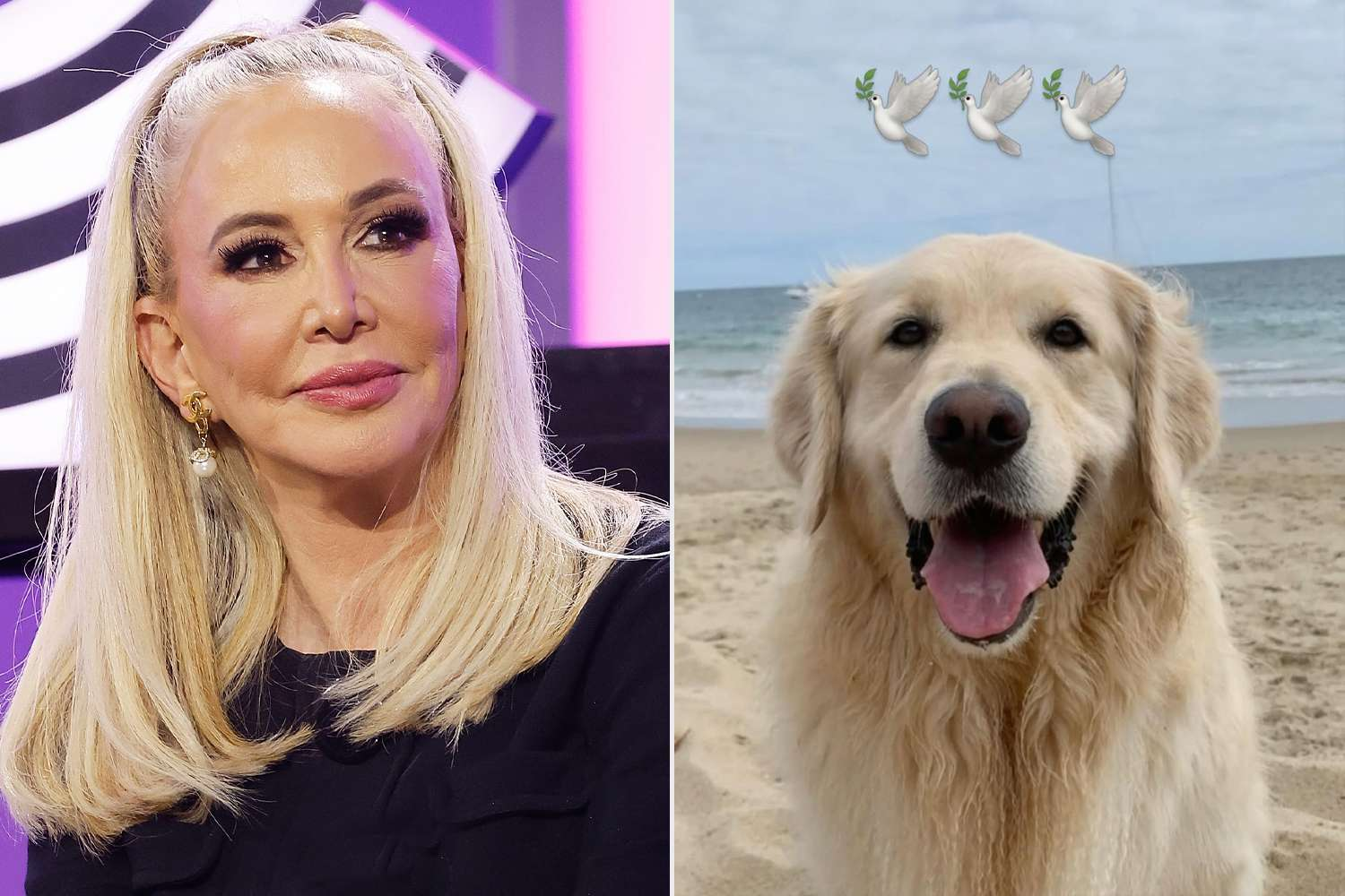 RHOC’s Shannon Beador Reveals Archie’s Brain Cancer and His Peaceful Final Days