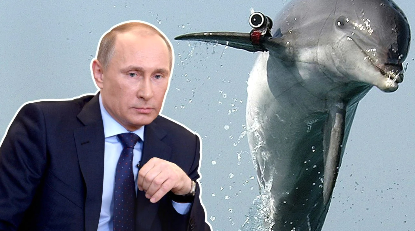 Russische Touristen mit Eiern beworfen! Eklat - Kreuzfahrtschiff voller Russen erlebt Albtraum!