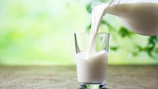 Achtung! Verseuchte Milch im Umlauf! Rückruf wegen Krankheitserregern! Trinken Sie das nicht!